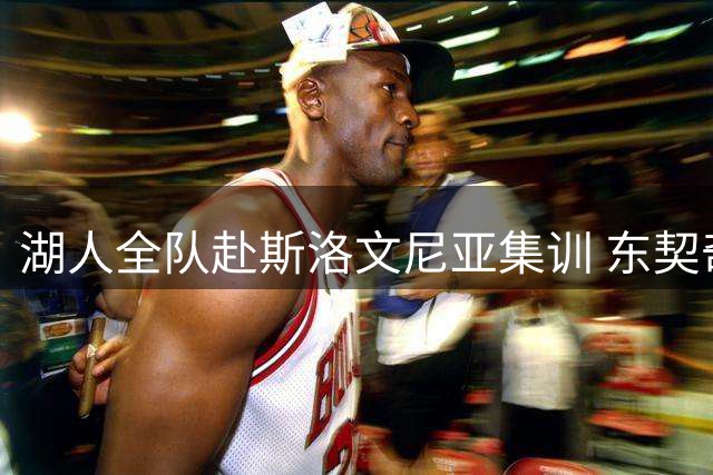 湖人全队赴斯洛文尼亚集训 东契奇组织团队聚餐