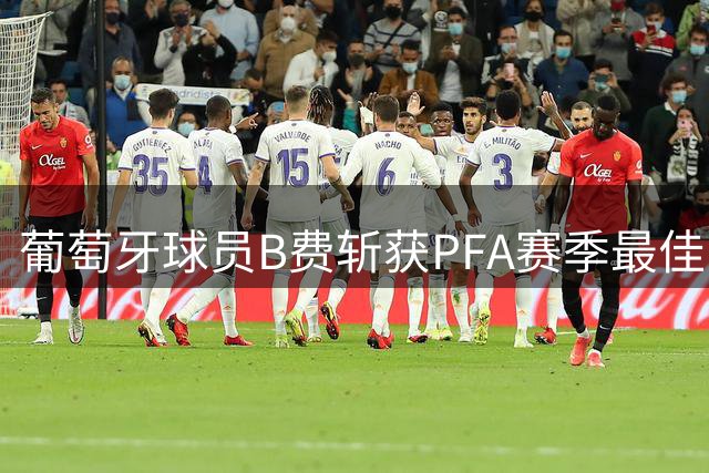 葡萄牙球员B费斩获PFA赛季最佳，创历史新纪录
